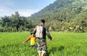 Read more about the article Babinsa Desa Tanggulturus Dampingi Petani Semprot Pestisida Cegah Wereng dan Tingkatkan Hasil Panen