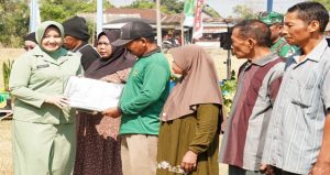 Read more about the article Komitmen Persit Sukseskan TMMD 129 Bojonegoro di Kesongo