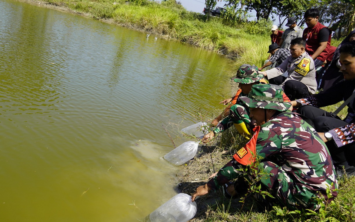 You are currently viewing Kolaborasi Perkuat Ketahanan Pangan, TMMD 129 Bojonegoro Tabur 11 Ribu Benih Ikan