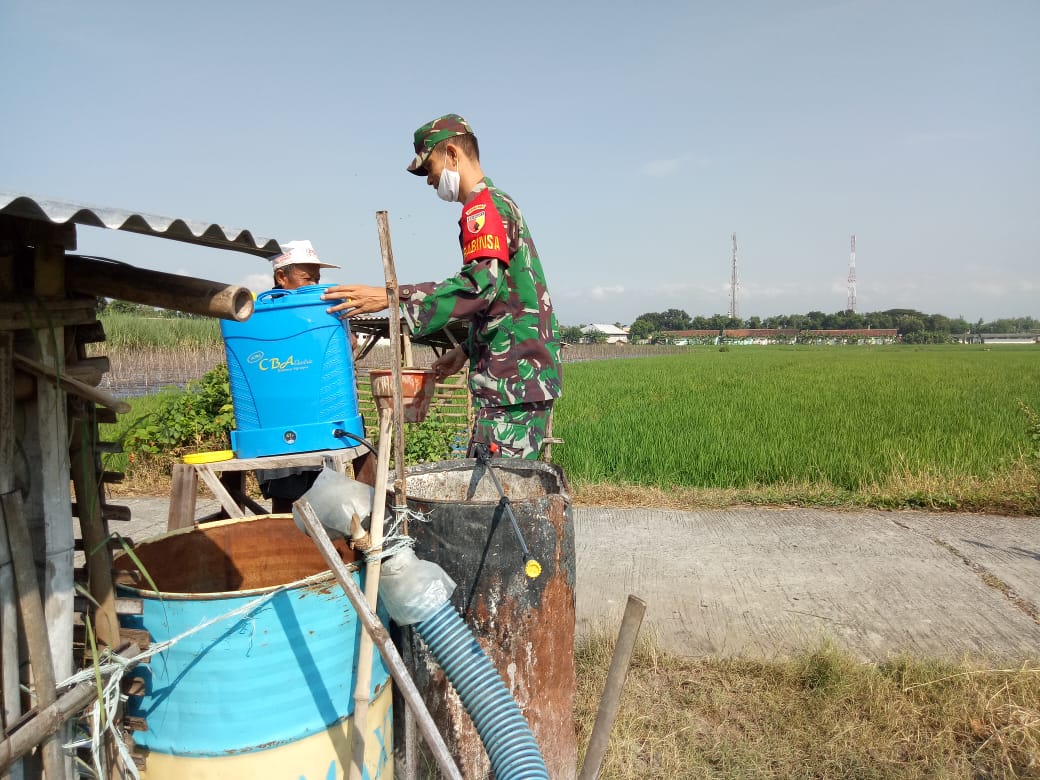 Read more about the article Saat Hama Mengancam Panen, Babinsa dan Petani Balerejo Bergerak Bersama