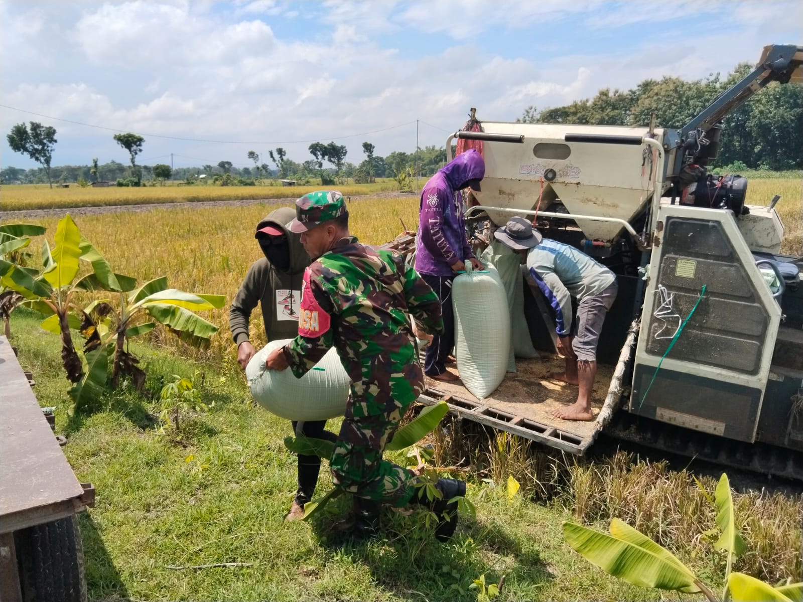 Read more about the article Menjaga Asa dari Hamparan Sawah, Babinsa Kedondong Dampingi Petani Saat Panen Padi