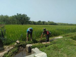 Read more about the article Air Mengalir, Harapan Petani Terjaga: Babinsa Suluk Cek Saluran Irigasi Bersama Kelompok Tani