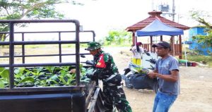 Read more about the article Perkuat Ketahanan Pangan: Satgas TMMD 129 Bojonegoro Pasok Ratusan Bibit Sayuran untuk Warga Kesongo