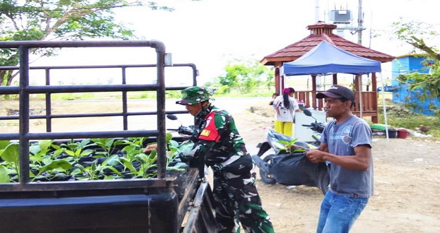 Read more about the article Perkuat Ketahanan Pangan: Satgas TMMD 129 Bojonegoro Pasok Ratusan Bibit Sayuran untuk Warga Kesongo