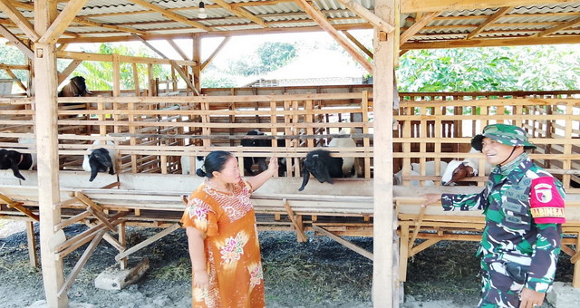 Read more about the article TMMD 129 Bojonegoro: Babinsa Kesongo ‘Sentuh Hati’ Peternak Kambing