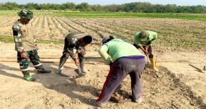 Read more about the article Pacu Ekonomi Pedesaan: Satgas TMMd 129 Bojonegoro Bangun Lapak PKL di Rest Area Kesongo