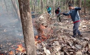 Read more about the article Danramil Boyolangu dan Anggota Bersama PMK dan Warga Padamkan Kebakaran Lahan di Perbatasan Wajak Kidul-Sanggrahan
