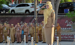 Read more about the article ASN Lampung Selatan Dituntut Hadirkan Pelayanan Terbaik sebagai Wujud Pengabdian