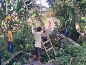 Read more about the article Demi Keselamatan Bersama, Babinsa dan Warga Bulu Bergotong Royong Pangkas Dahan Pohon di Sepanjang Jalan