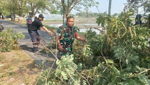 Read more about the article Jalan Pilang Widya Sempat Tertutup Pohon Tumbang, Babinsa dan Warga Bergerak Cepat