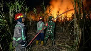 Read more about the article Api Melahap 3,5 Hektare Lahan Tebu, Babinsa dan Damkar Berjibaku Cegah Kobaran Meluas