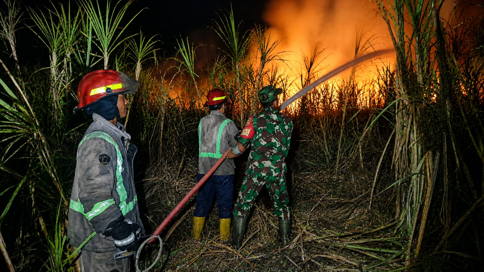 You are currently viewing Api Melahap 3,5 Hektare Lahan Tebu, Babinsa dan Damkar Berjibaku Cegah Kobaran Meluas