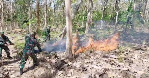 Read more about the article Gerak Cepat TNI, Perhutani dan Warga Padamkan Karhutla di Ngepoh, Api Berhasil Dikendalikan