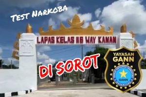 Read more about the article DPC Y.GANN Way Kanan Soroti Pelaksanaan Tes Urine Petugas Lapas Way Kanan