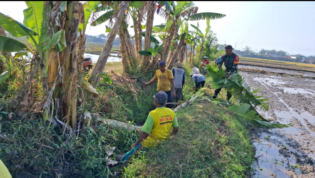 Read more about the article Lancarkan Irigasi Pertanian, Babinsa Ponorogo Kerja Bakti Bersama Warga