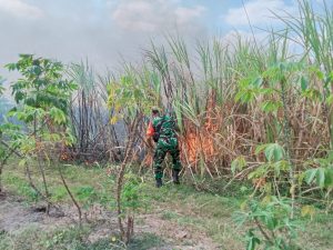 Read more about the article Anggota Koramil Dagangan Sigap Hadang Kobaran Api di Lahan Tebu