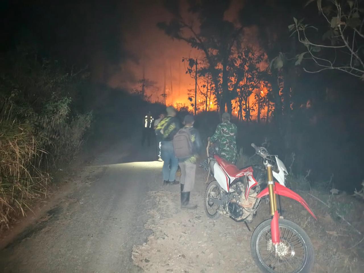 Read more about the article Prajurit TNI dan Warga Berjibaku di Tengah Kepungan Api Hutan Ngrayun