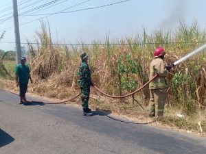 Read more about the article Babinsa dan Warga Berjibaku Padamkan Kebakaran Kebun Tebu di Sambirejo