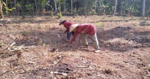 Read more about the article Ibu Aminah Bersyukur, Akses Jalan Menuju Kebunnya Mulai Diperbaiki Satgas TMMD