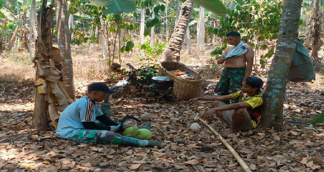 Read more about the article Kelapa Muda Hasil Bumi Warga, Sebagai Pelepas Dahaga Satgas TMMD di Tengah Panasnya Terik Matahari