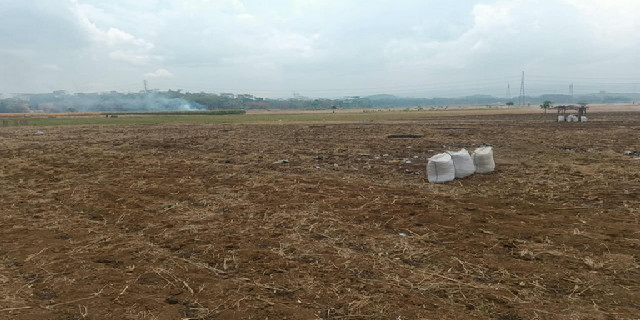 You are currently viewing Tanah Mulai Digemburkan, Program Ketahanan Pangan TMMD di Desa Sembung Masuki Tahap Persiapan Lahan