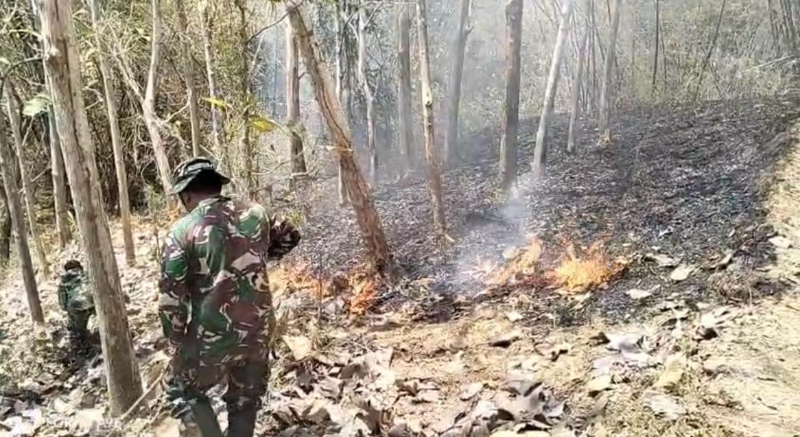 Read more about the article Gerak Cepat, Personel Koramil Campurdarat Padamkan Kebakaran Lahan Perhutani di Desa Pojok