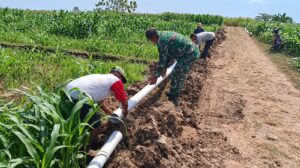 Read more about the article Pipanisasi di Candimulyo, Babinsa Bersama Warga Perkuat Ketahanan Pangan Desa