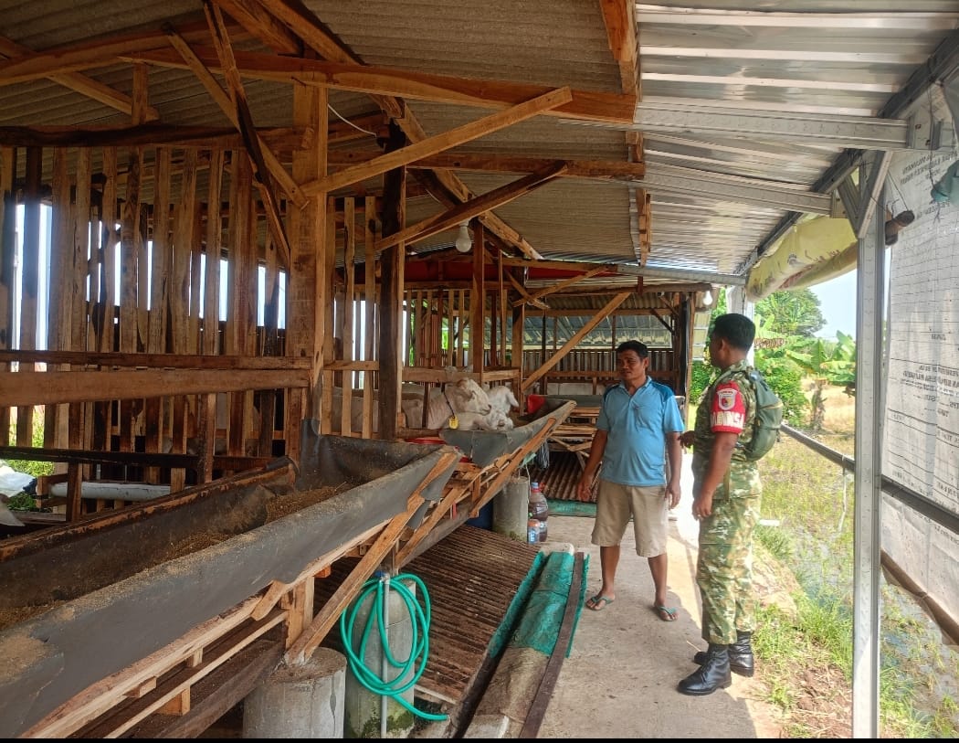 Read more about the article Dari Kandang Kambing, Babinsa dan BUMDes Pilangrejo Perkuat Ketahanan Pangan Desa