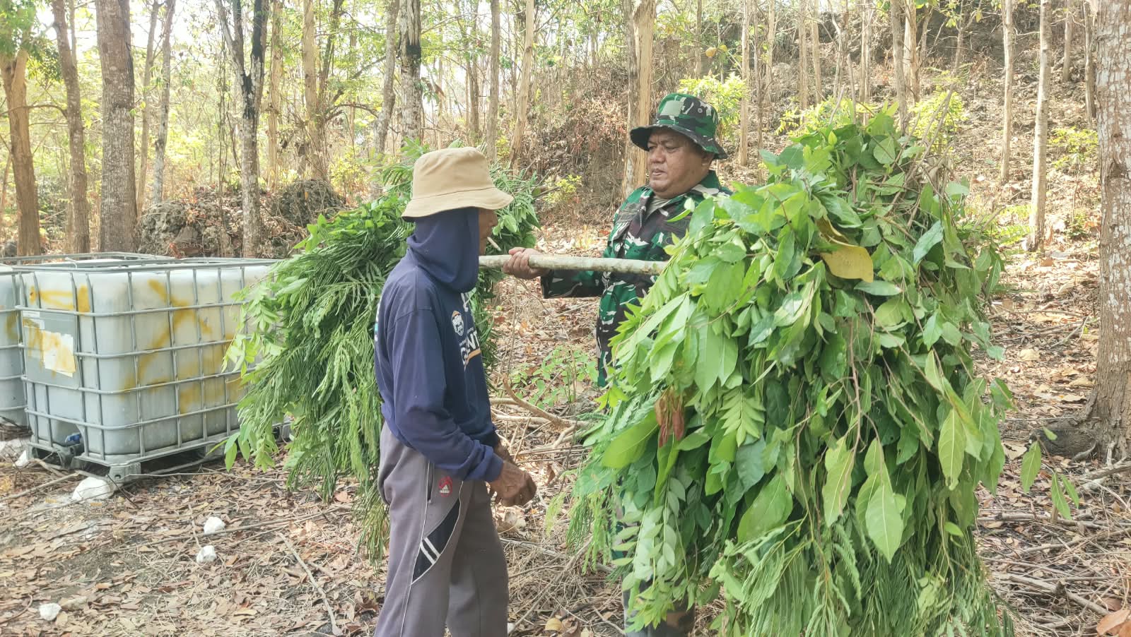 You are currently viewing Sertu Rano Sisihkan Waktu Bantu Warga Cari Rumput untuk Pakan Ternak